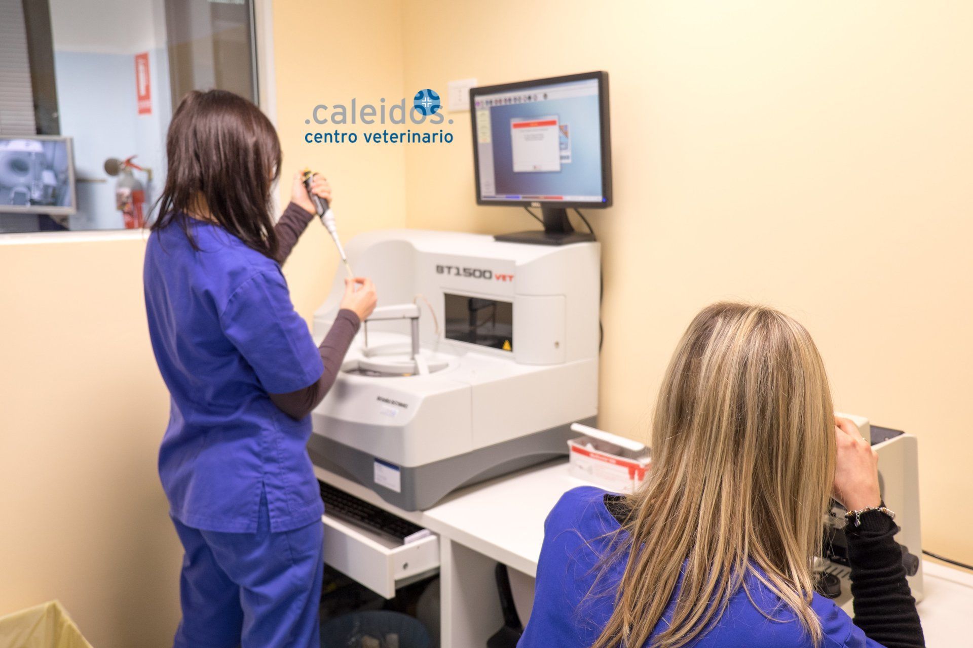 biochemical examination