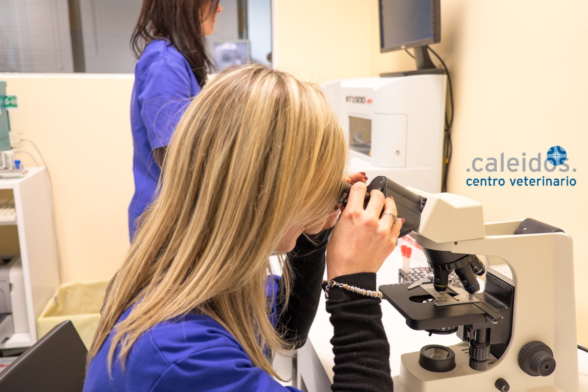 analysis laboratory - microscopic examination