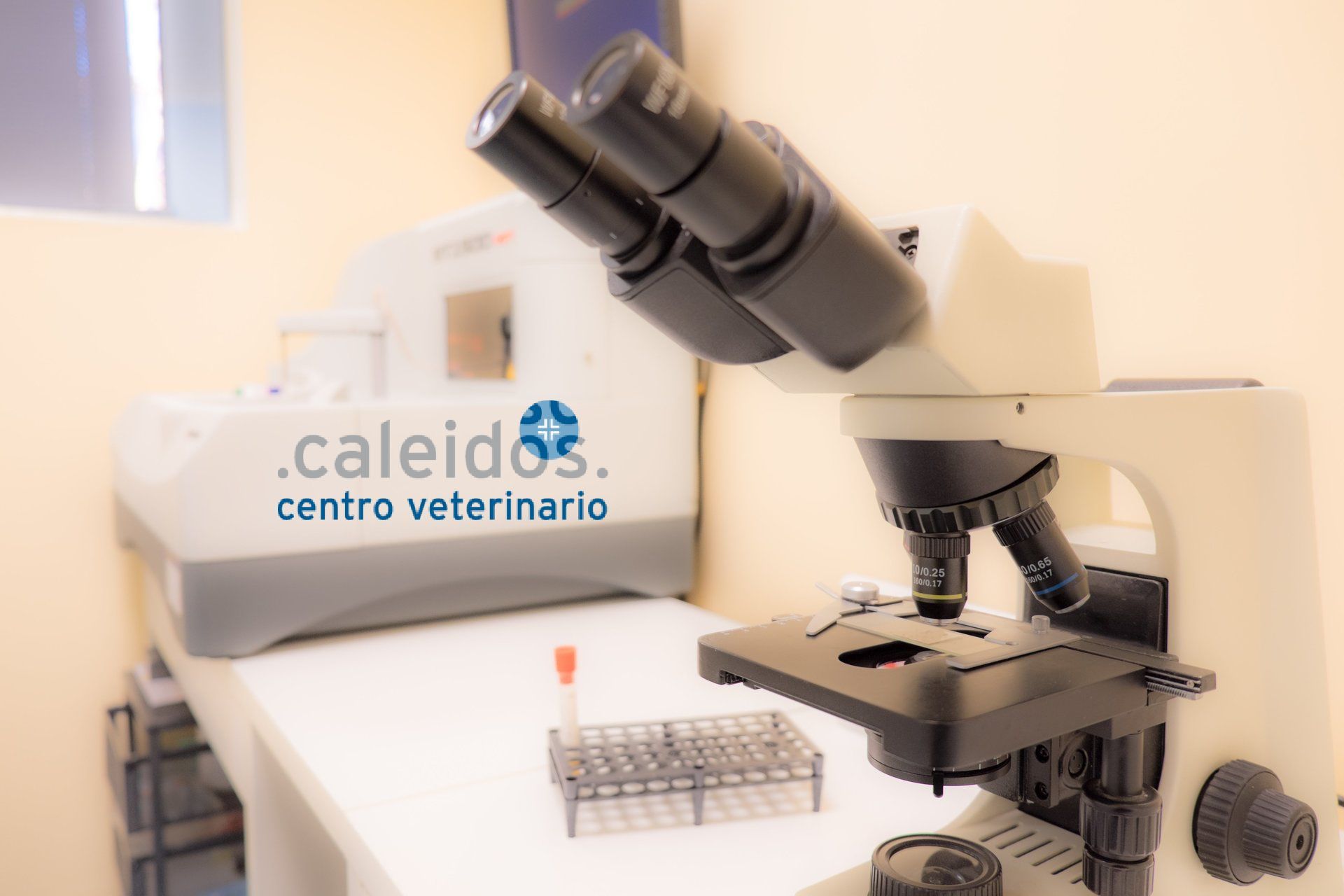 microscope analysis laboratory