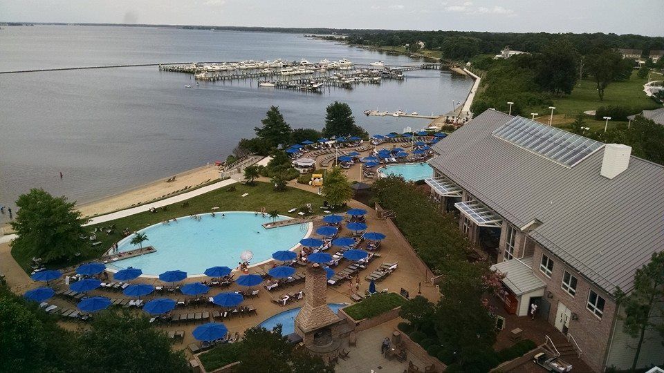 Poolside resort overlooking a marina. Blue umbrellas shade lounge chairs around a large pool. Buildings on the right.