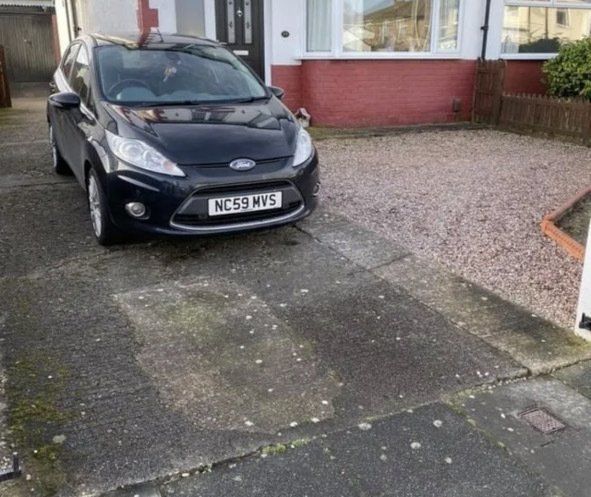 Old driveway.