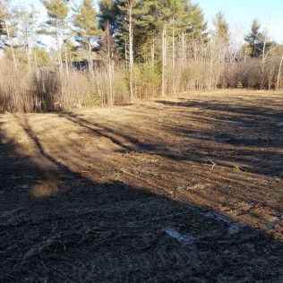Cleared land with surrounding trees