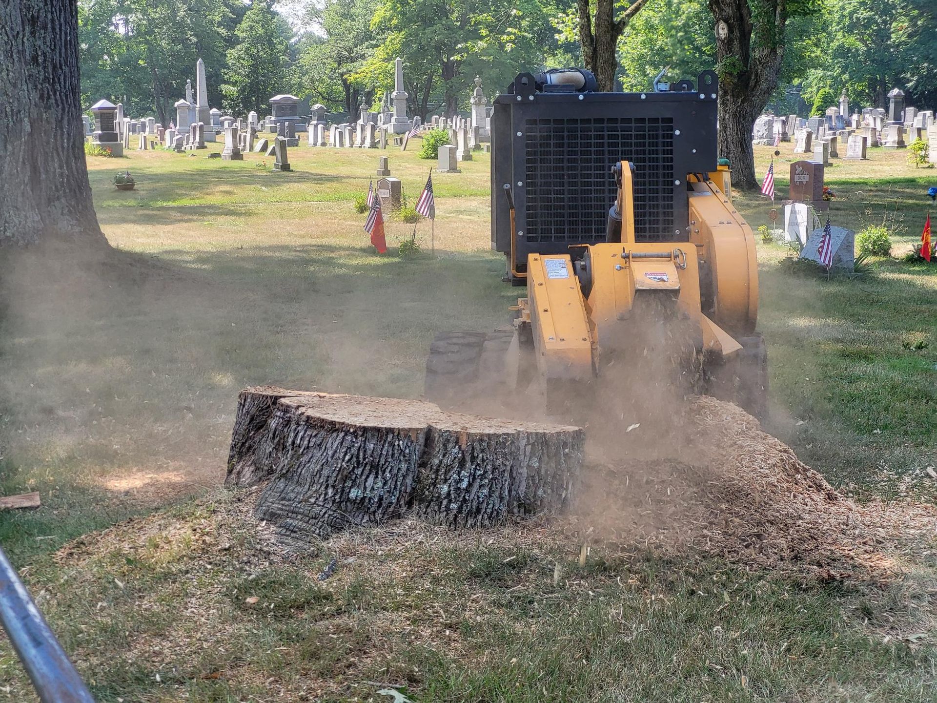stump grinding in a cemetery 