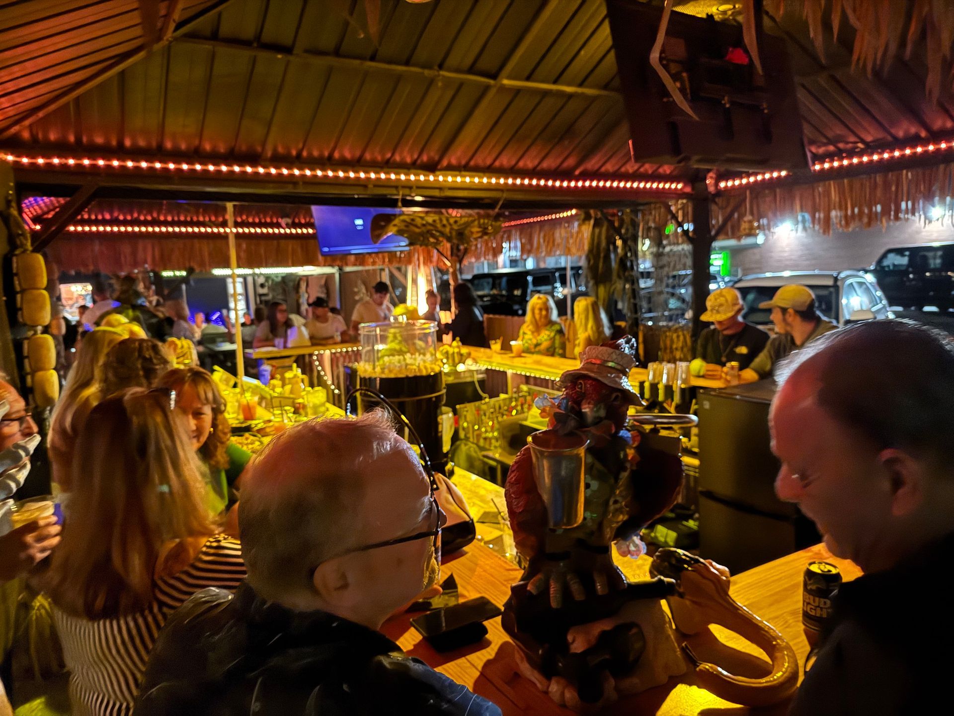 Largest Tiki Bar in New Baltimore Mi