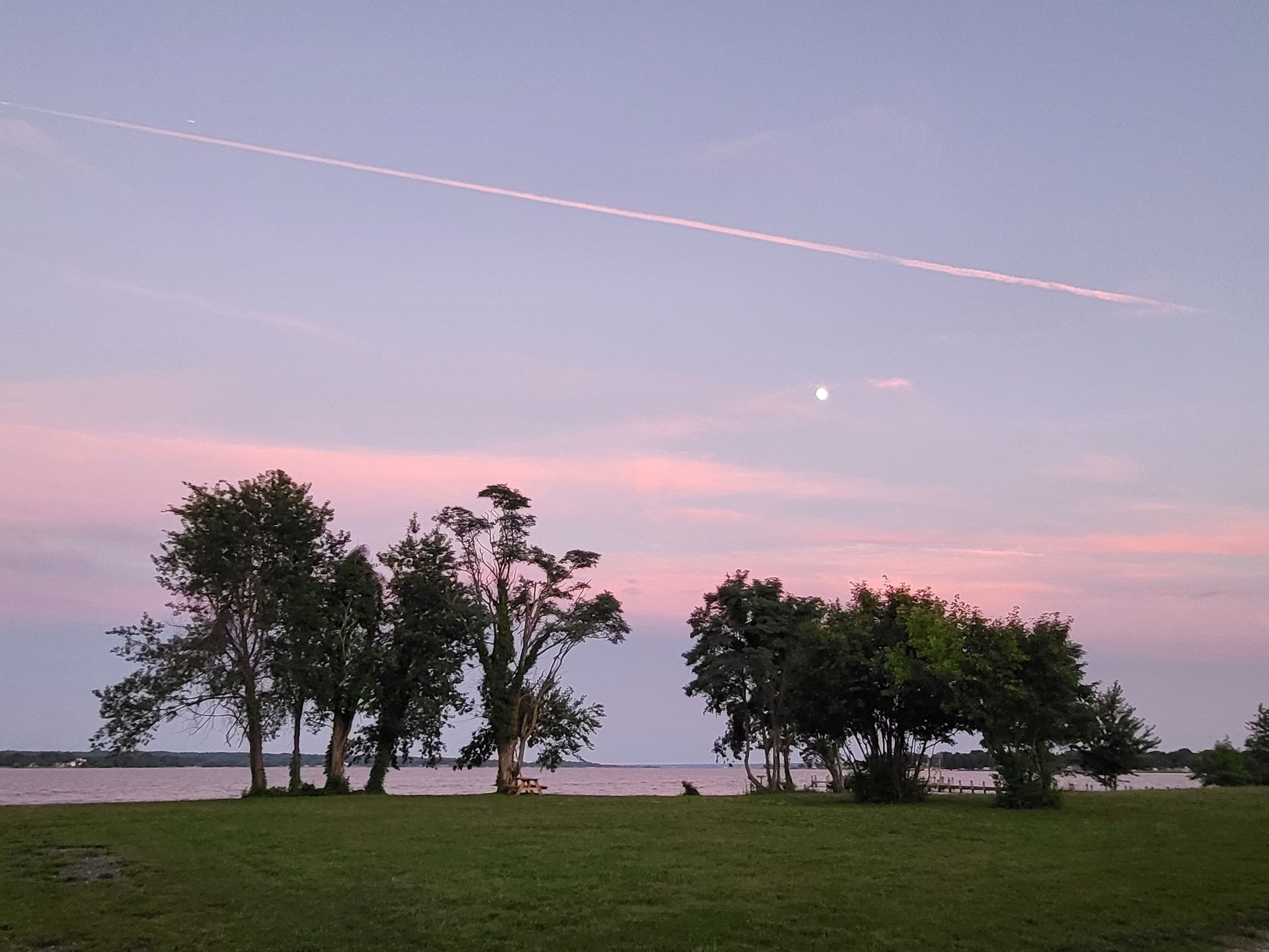 Pink sky
