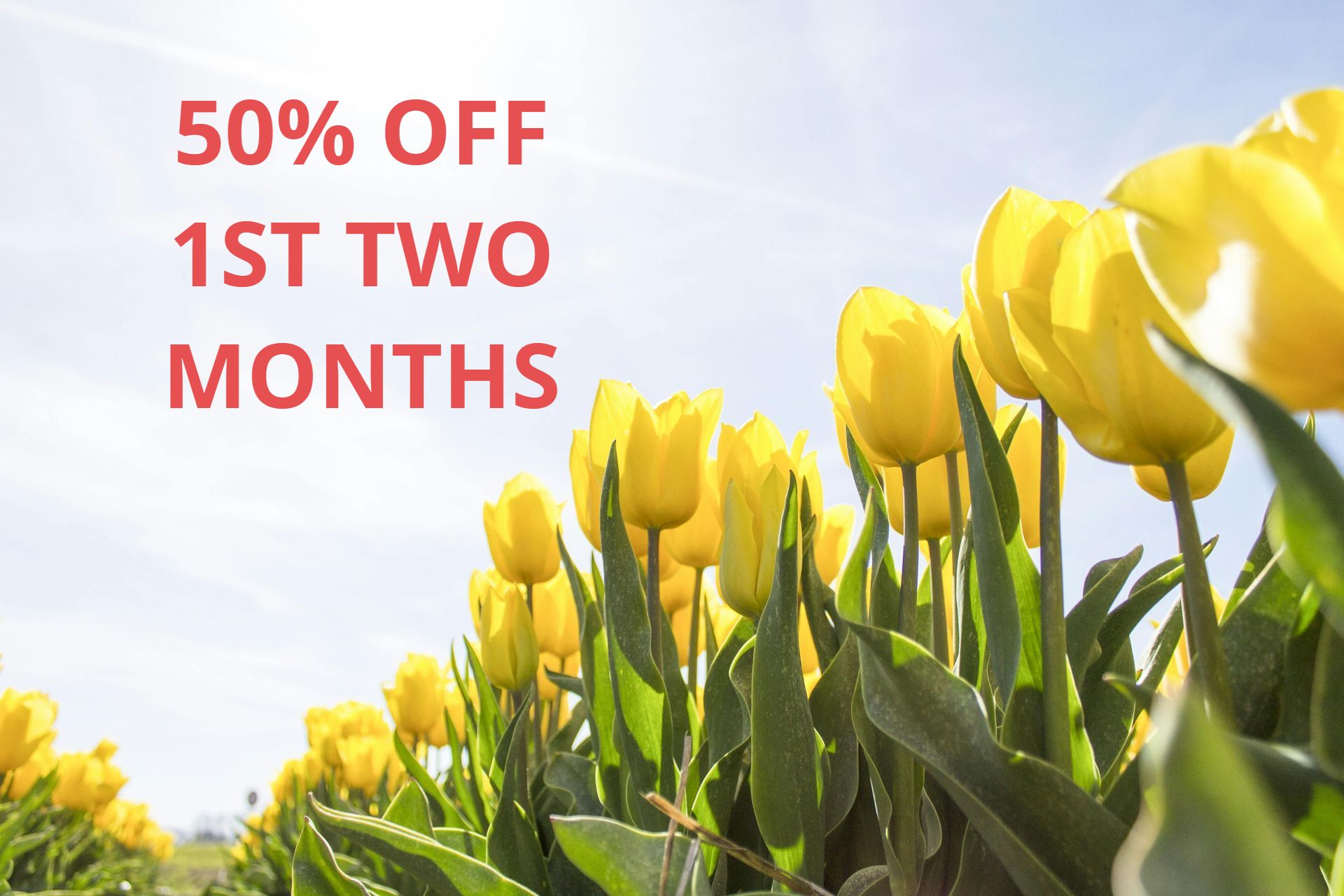 SIGN UP NOW! 50% off move in special