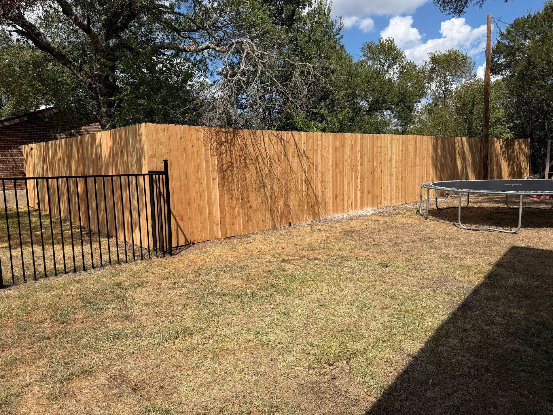 Backyard with wooden fence, black gate, dry grass, and a trampoline under a blue sky