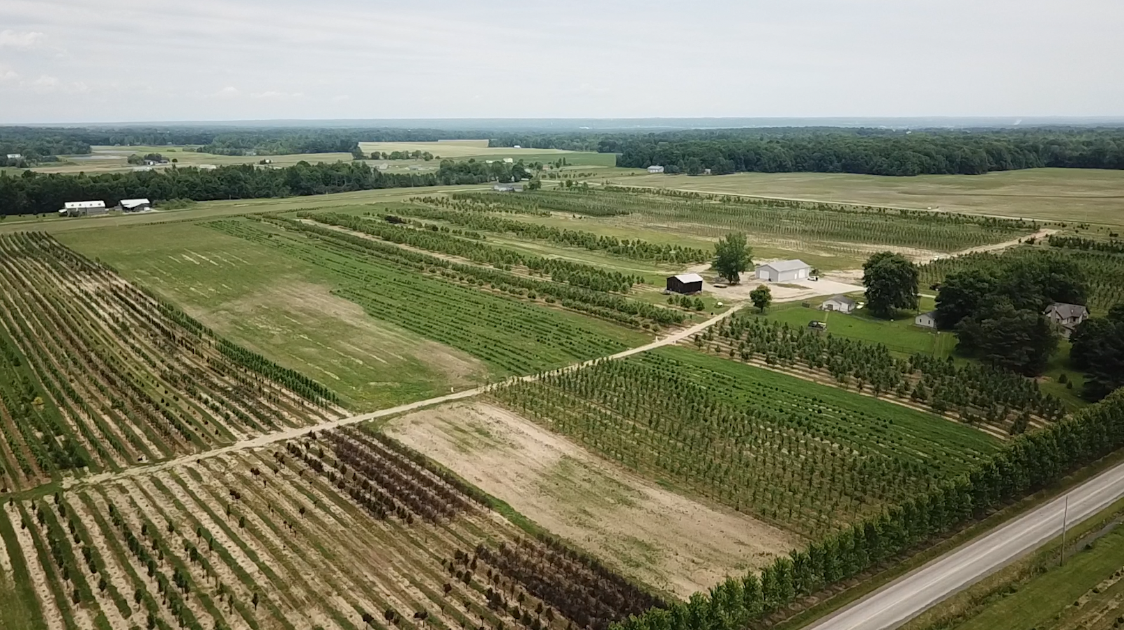 Aerial view of a farm with rows of crops, a house, and a road.