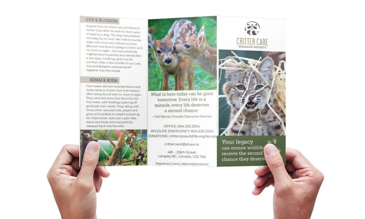 A person is holding a brochure with pictures of animals on it.