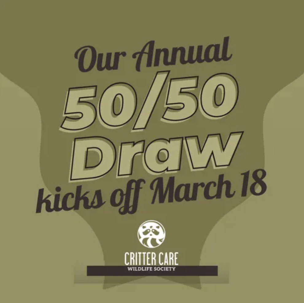 50/50 Draw