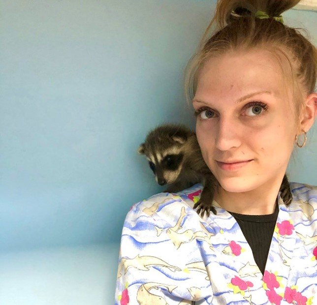 A woman is holding a small raccoon on her shoulder