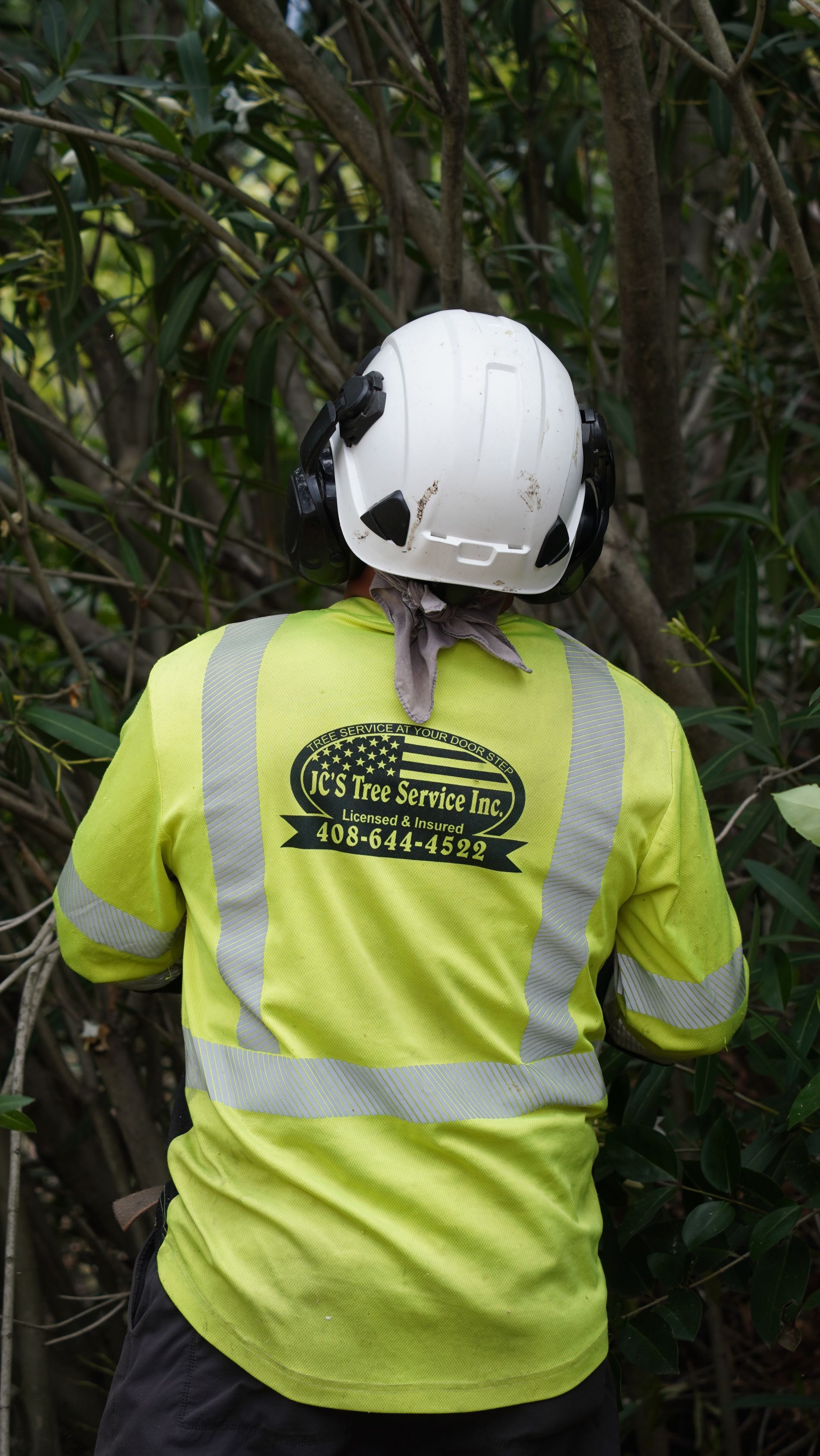 Worker wearing a white helmet and reflective shirt, viewed from behind among branches.