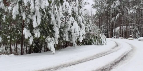 Moving This Winter? Try These 3 Tips From Colorado's Checkmate Moving ...