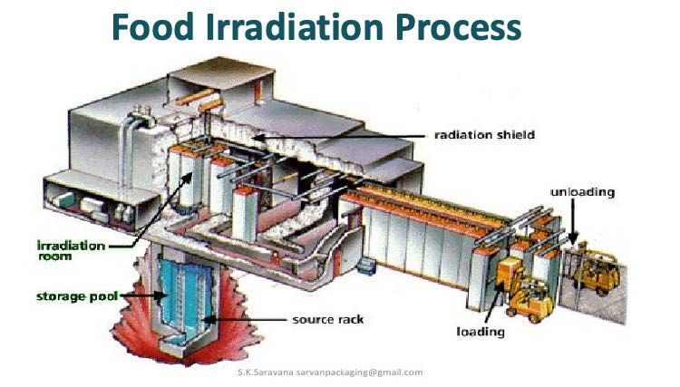 A diagram of a food irradiation process is shown