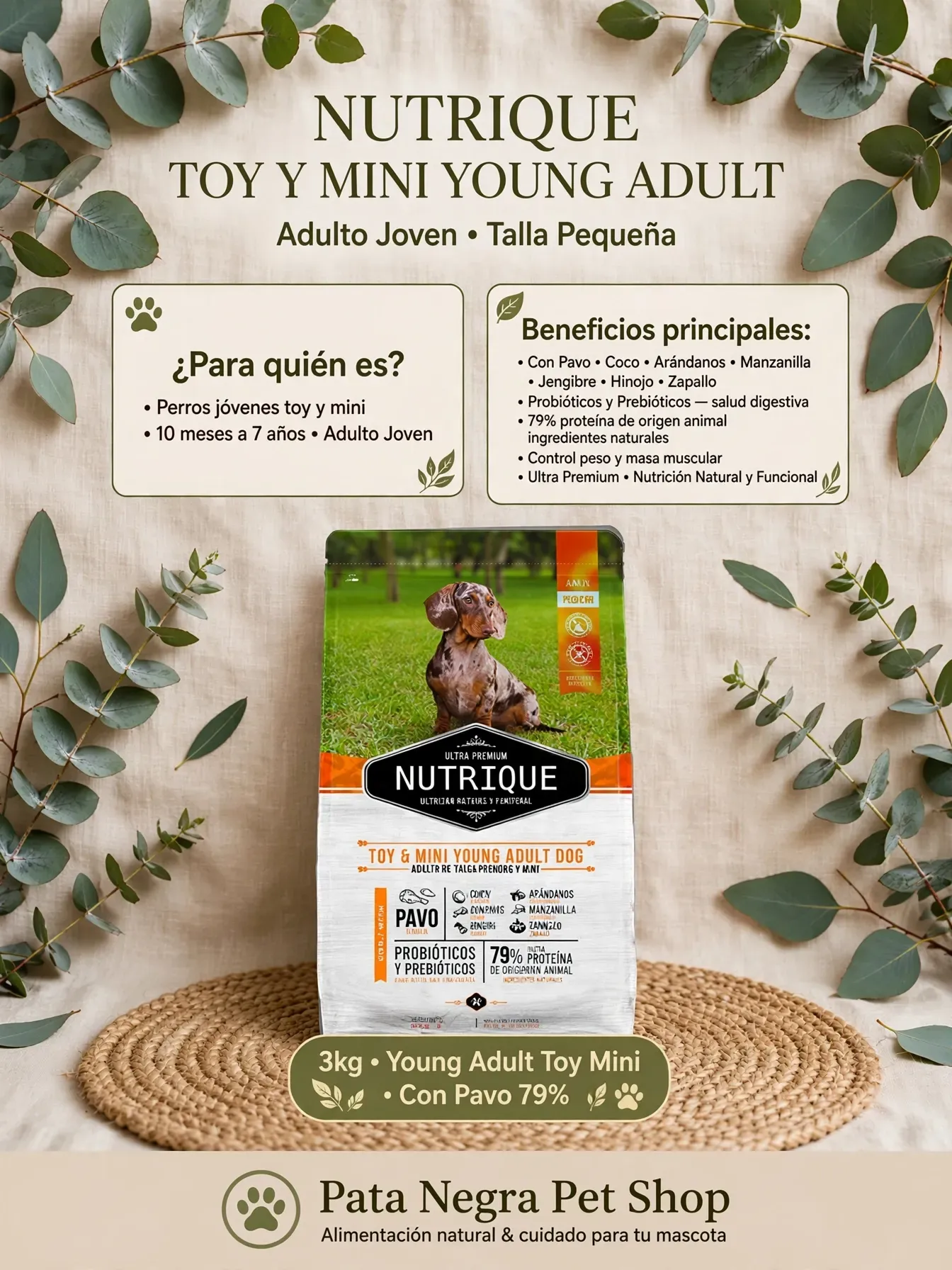Nutrique Toy y Mini Young Adult