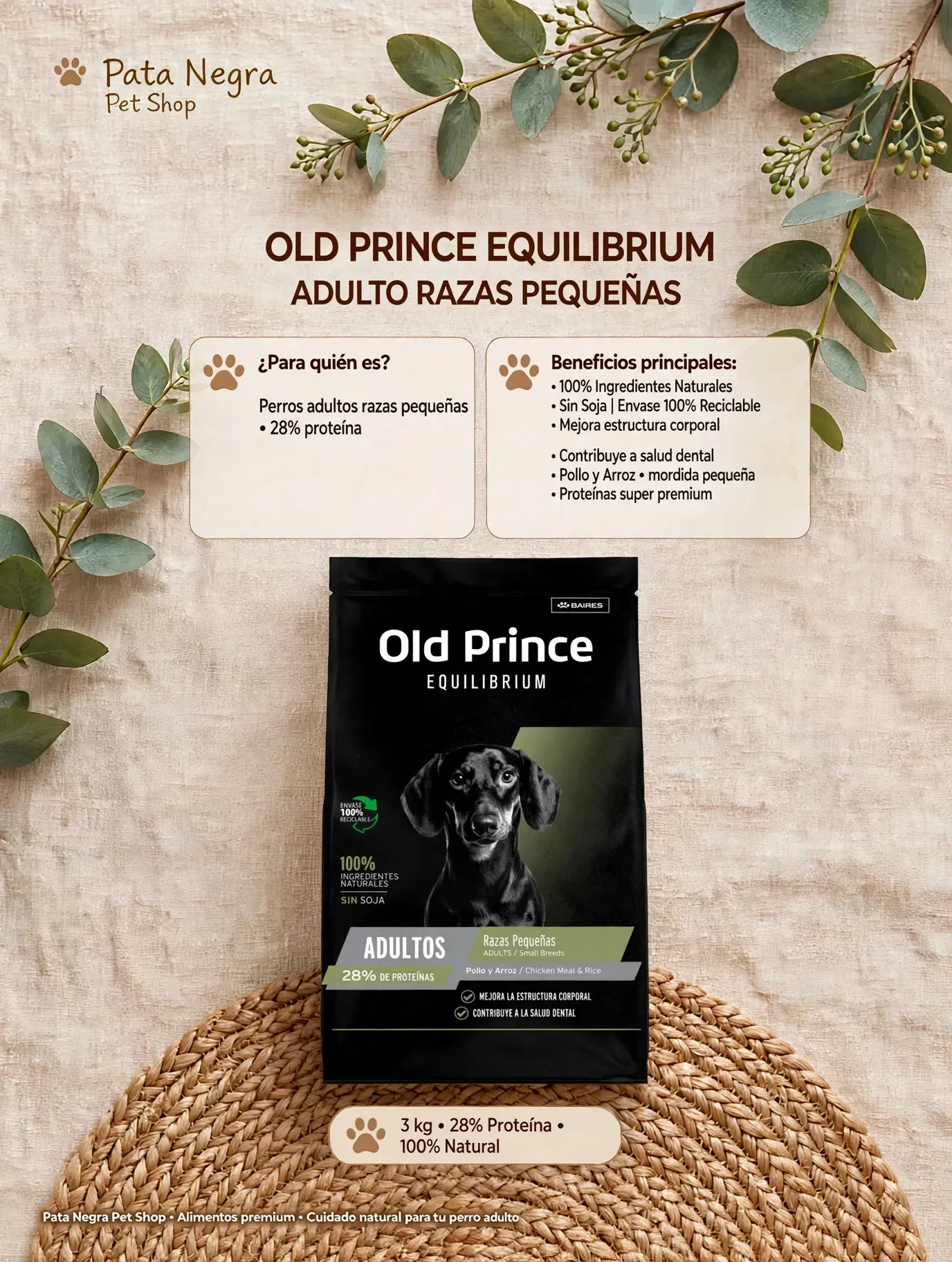 Old Prince Equilibrium Small Adult
