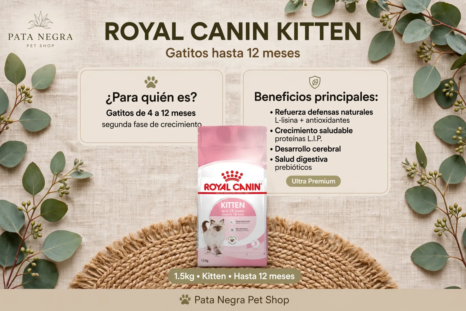 Royal Canin Kitten