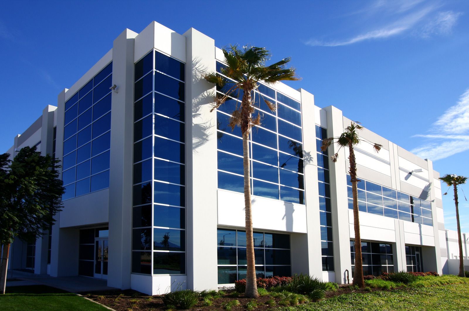 A large white building with palm trees in front of it