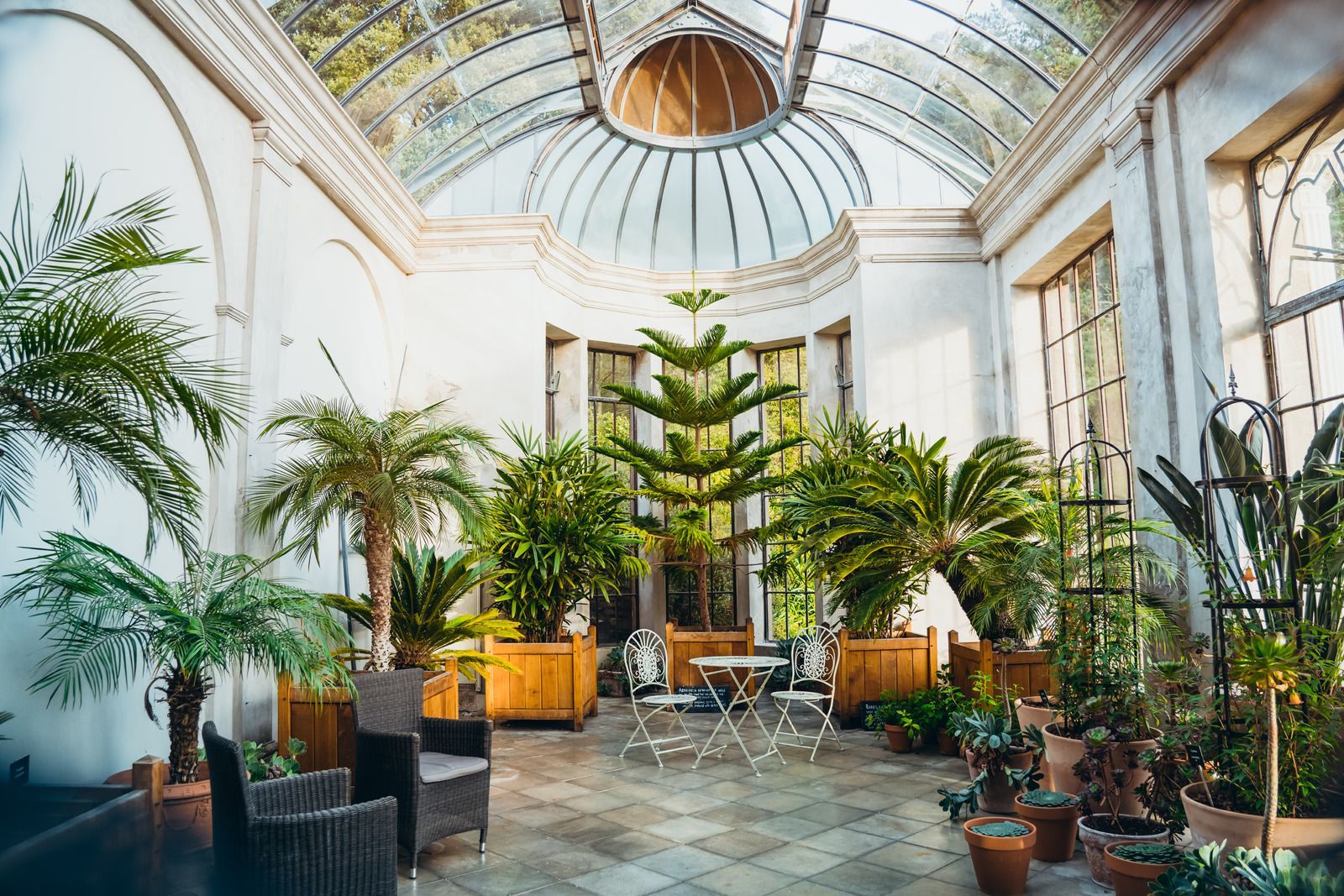 A greenhouse filled with lots of plants and furniture.