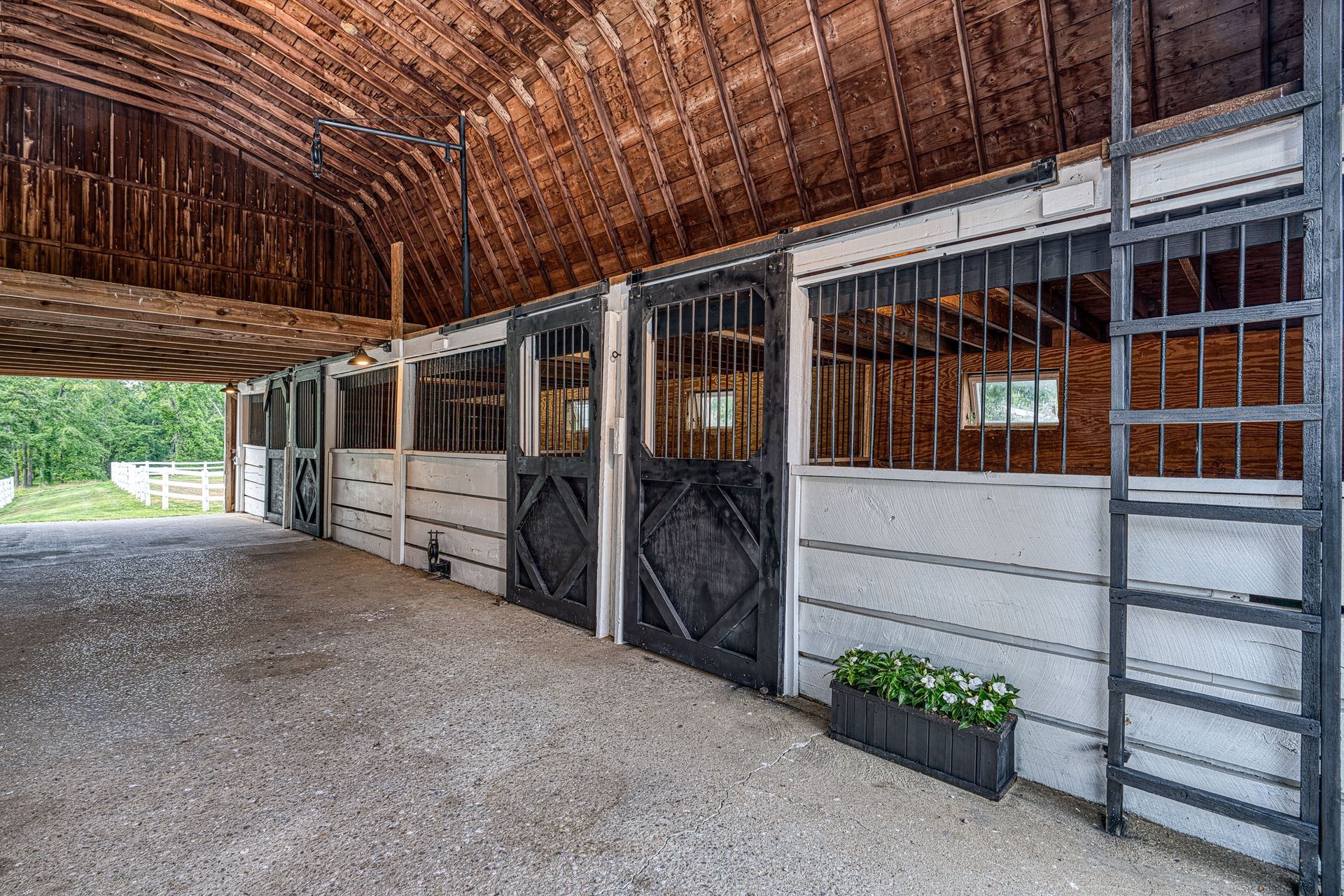 Horse stalls in a barn, with dark doors, windows, and a ladder along the side.