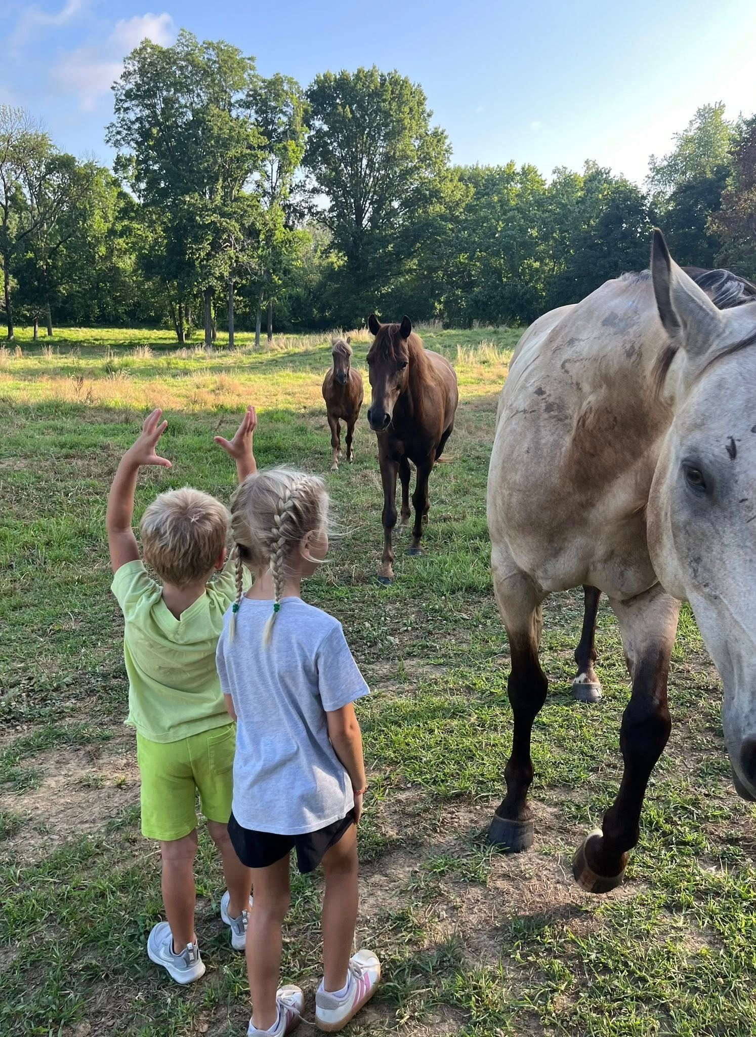 Two children wave at horses in a grassy field, other horses stand further back. Trees in the background.