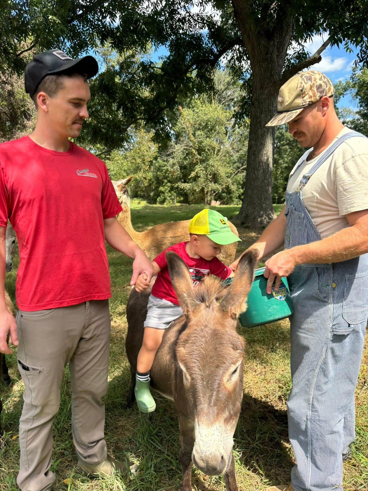 Two men help a child ride a donkey outdoors. The child wears a yellow hat and green boots.