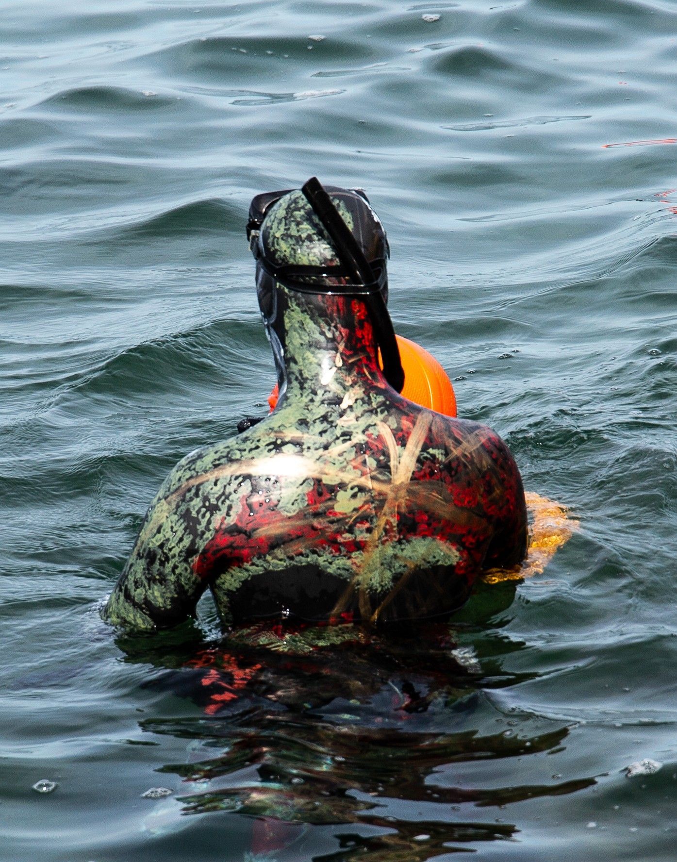 Una persona in muta sta nuotando nell'oceano