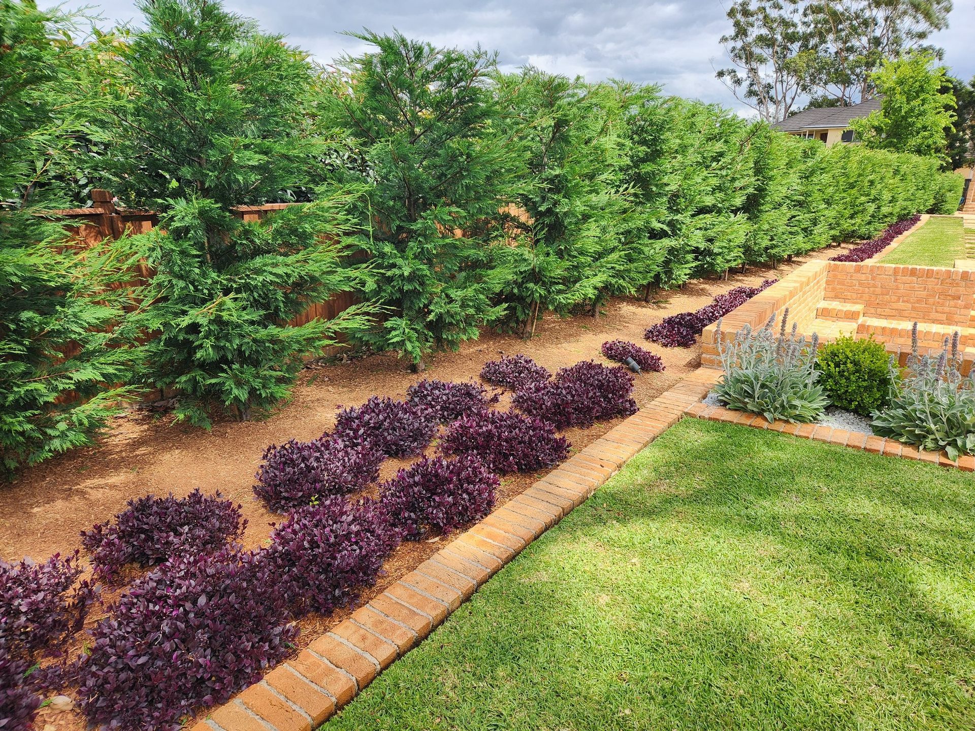 Lush Garden With a Row of Purple Plants — Total Perfection In Bateau Bay, NSW
