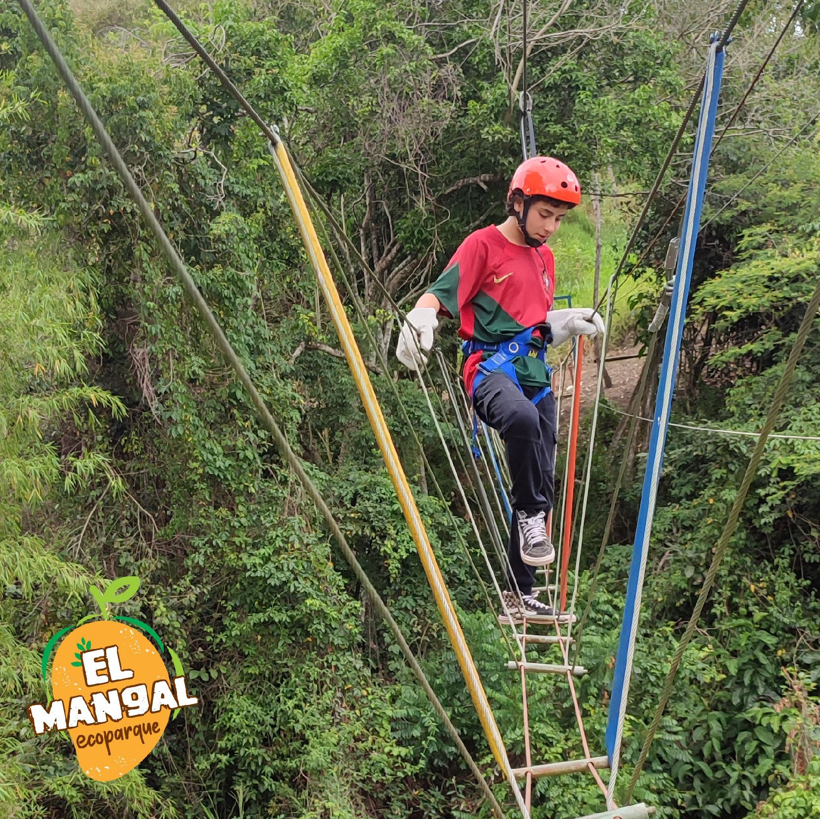 Persona con casco rojo en un puente colgante. Árboles verdes al fondo. Logotipo de 