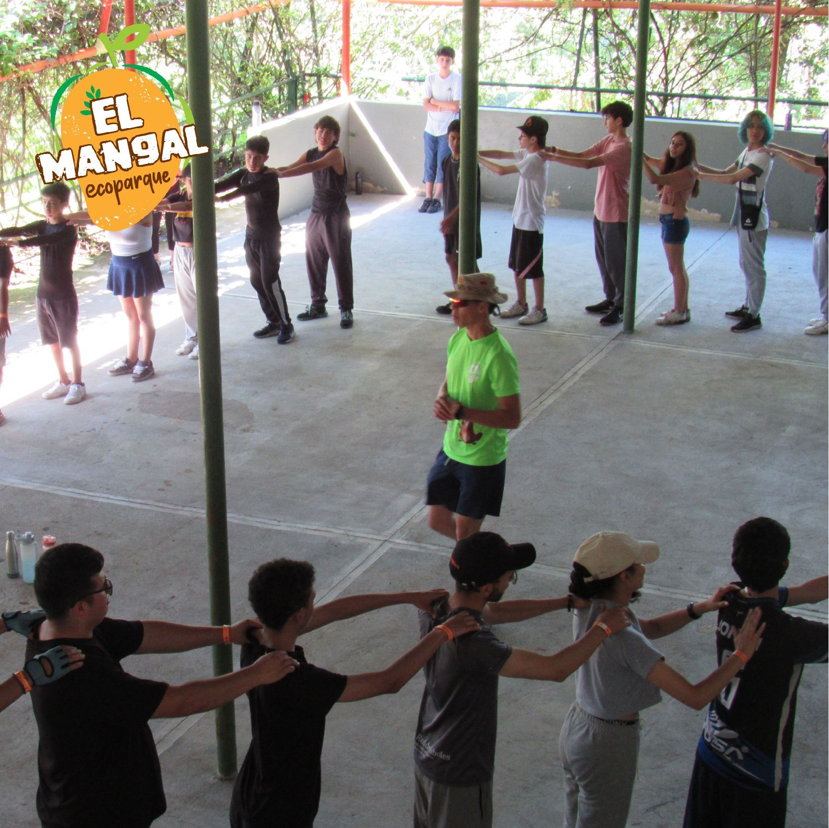 Grupo de personas realizando un ejercicio de estiramiento al aire libre; postes de color verde claro en lo alto.