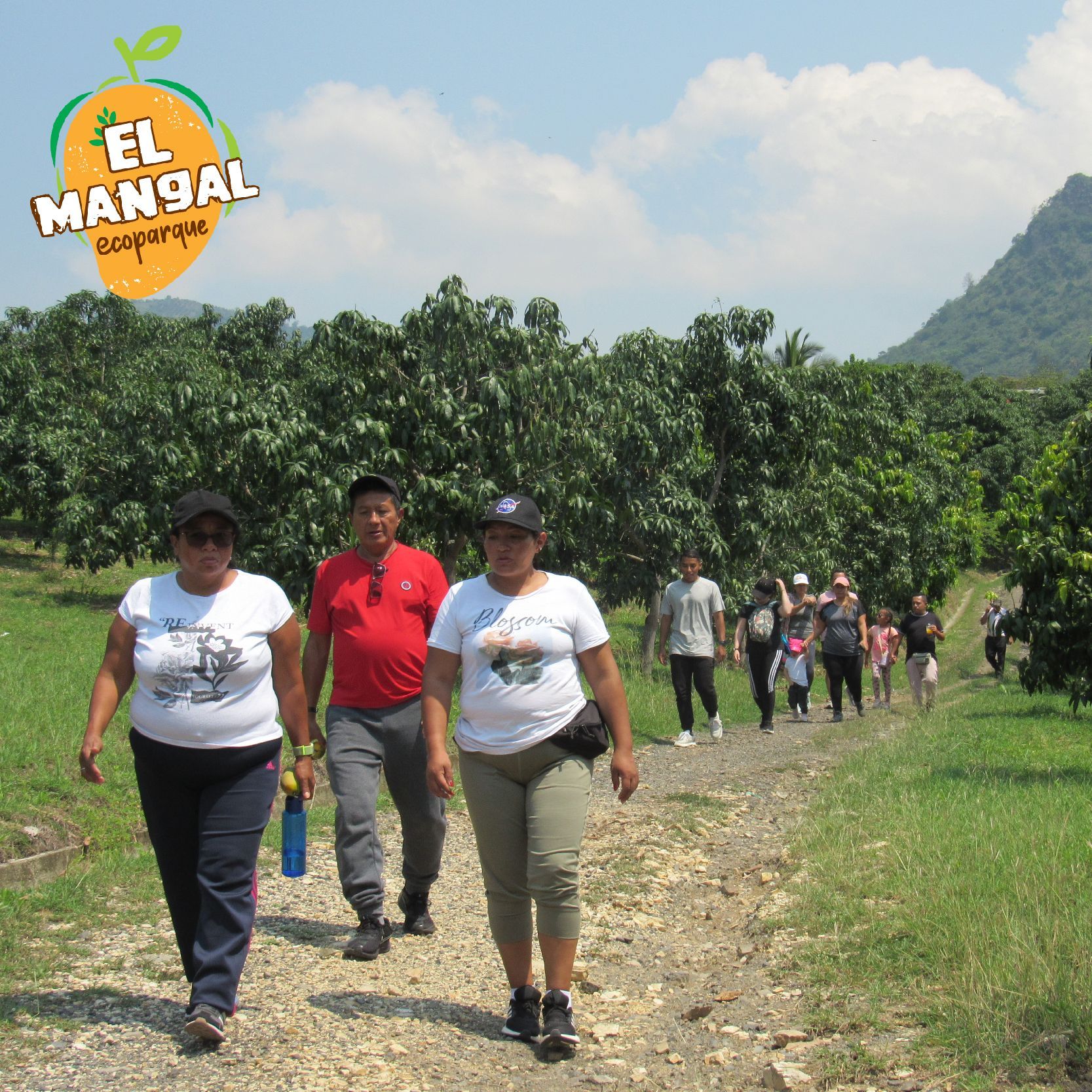 Grupo de personas caminando por un camino de tierra en un huerto frutal bajo un cielo nublado.