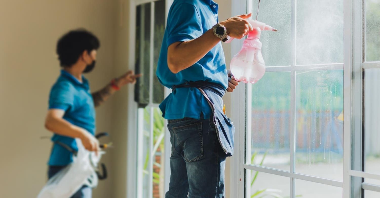 Home window tinting experts