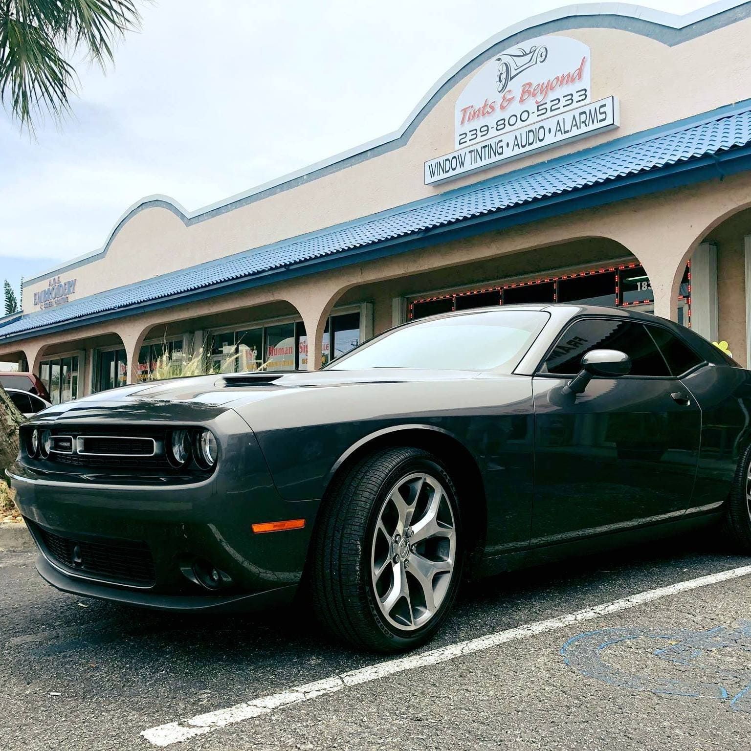 Dark green Dodge Challenger parked outside a shop with a blue awning.