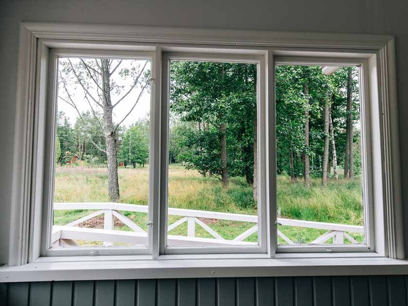 A window with a view of a forest and a field.