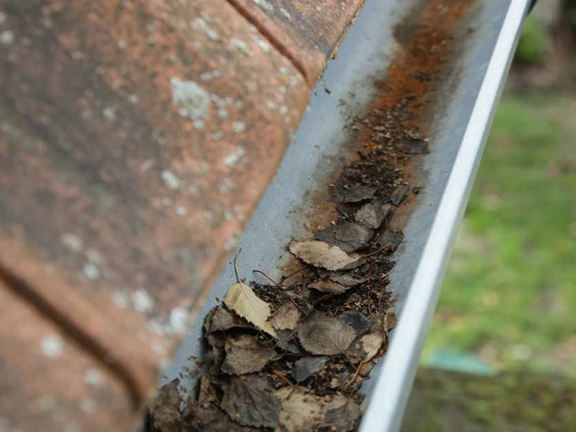 A close up of a gutter filled with dirt and rocks on a roof.
