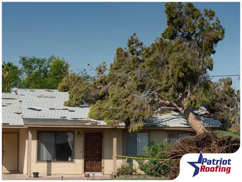 A house with a roof that has been damaged by a tree