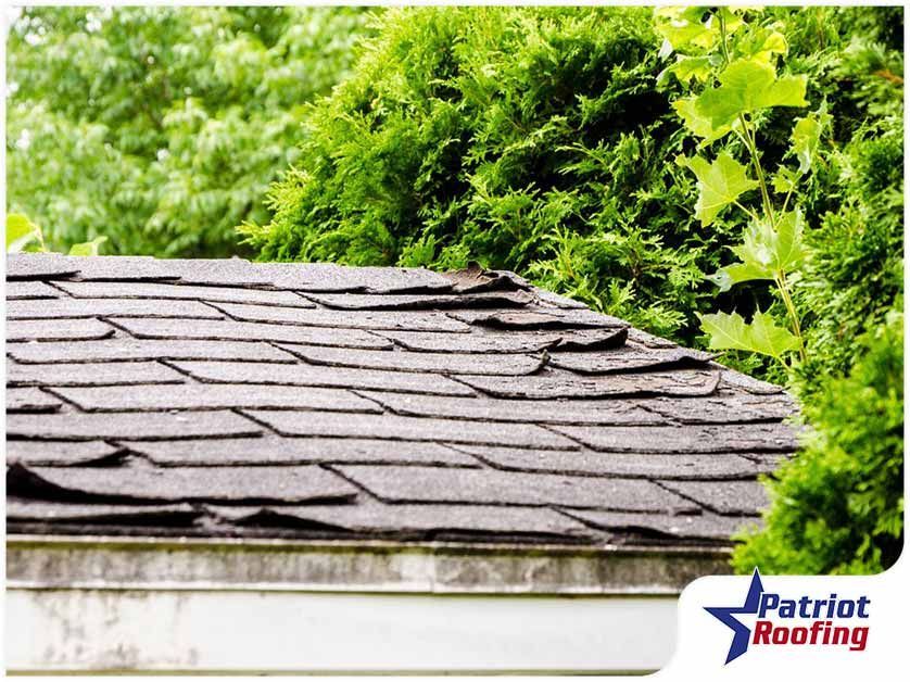 A roof with a lot of shingles is surrounded by trees.