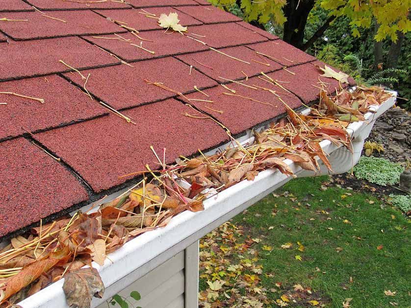 A gutter filled with leaves on a red roof.