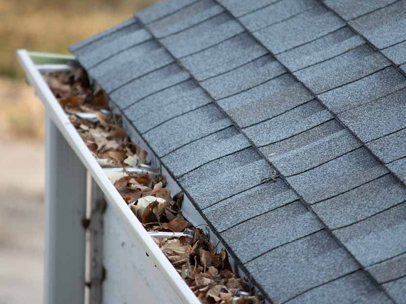 A gutter filled with leaves on top of a roof.