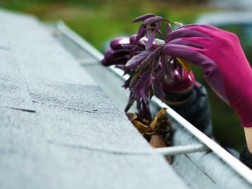 A person wearing pink gloves is cleaning a gutter on a roof.