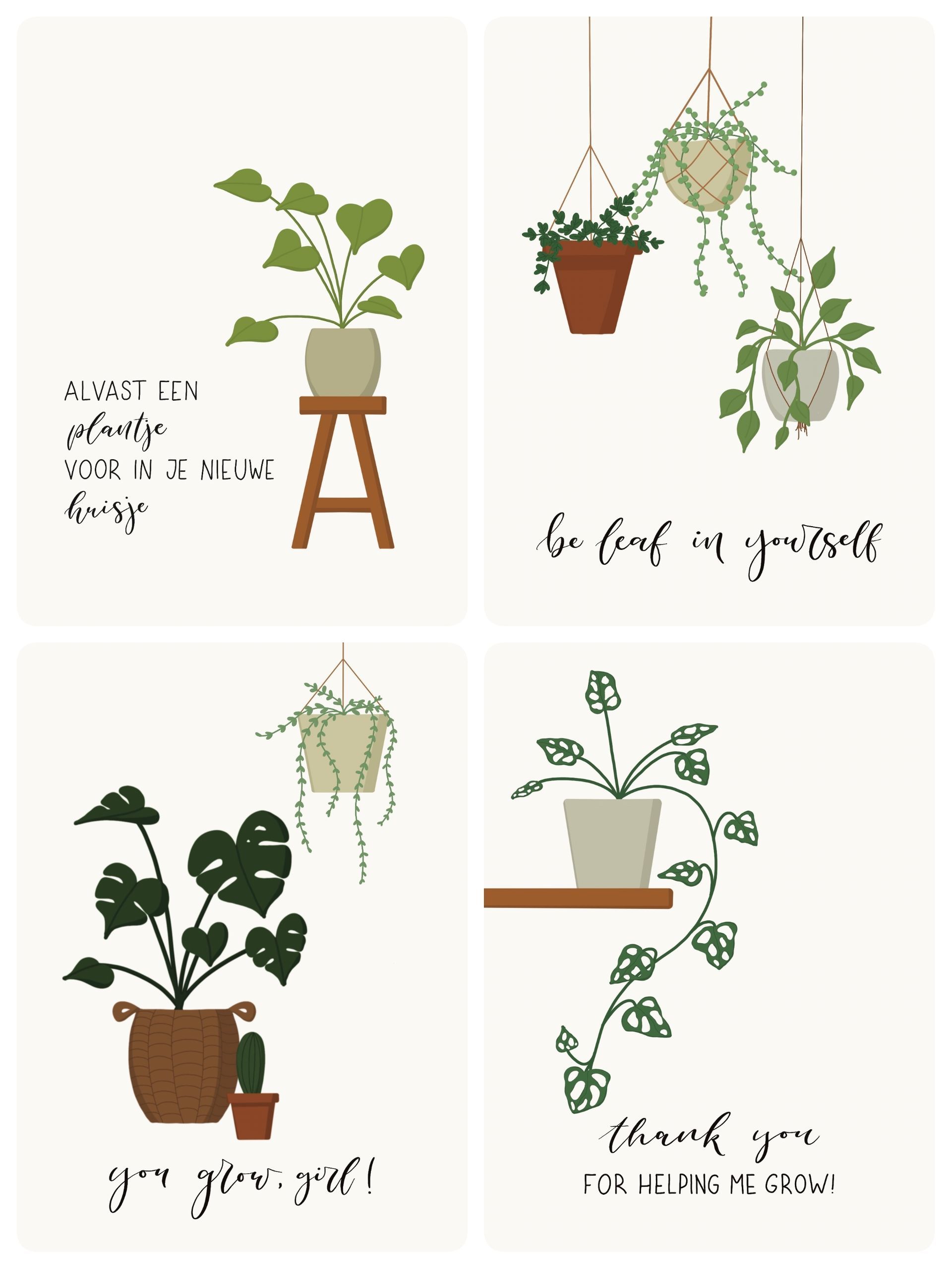 wenskaartenset planten