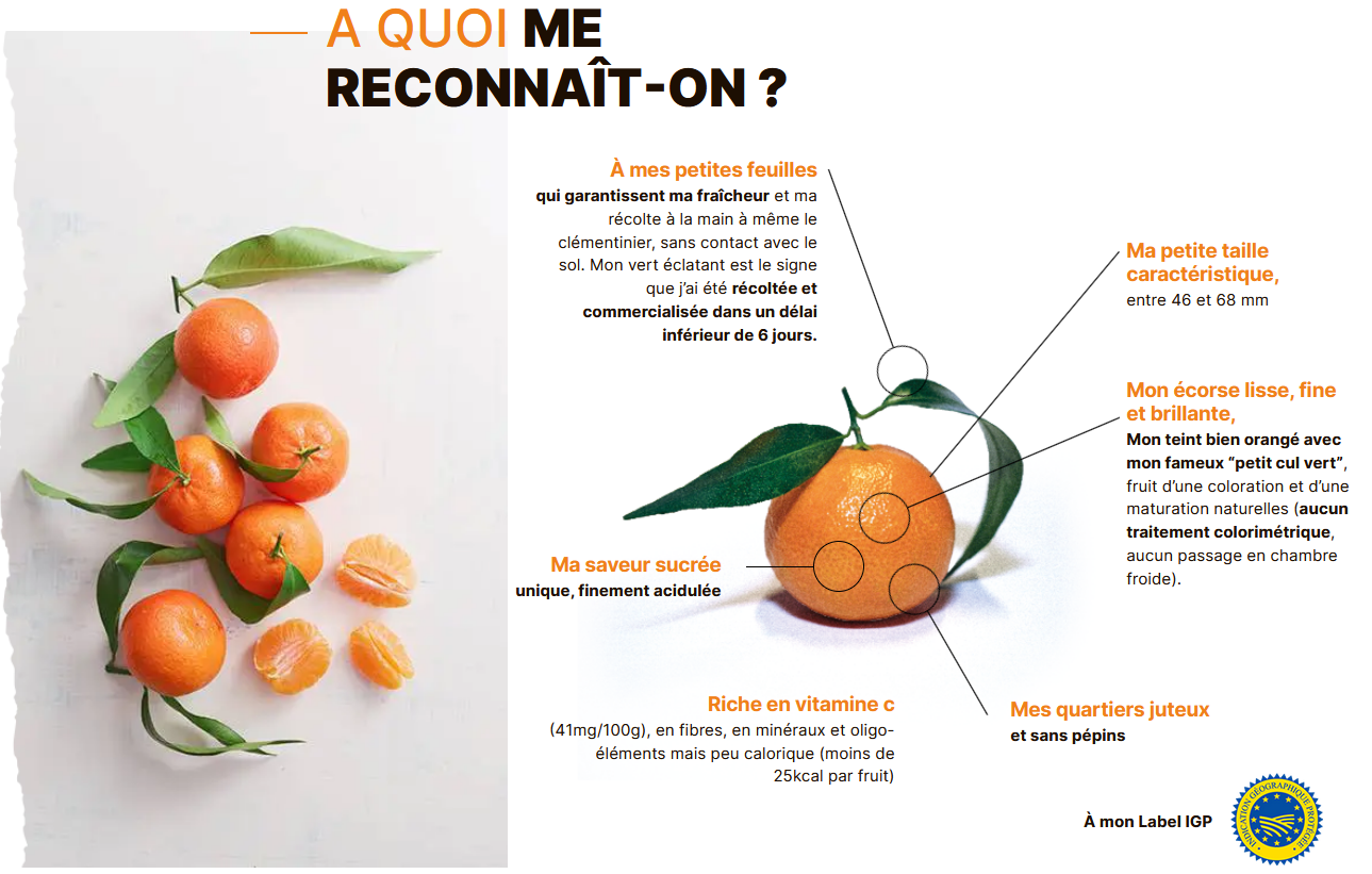 Une affiche avec une image d'oranges et les mots à quoi me reconnait-on