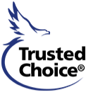 Logo: Blue eagle soaring above
