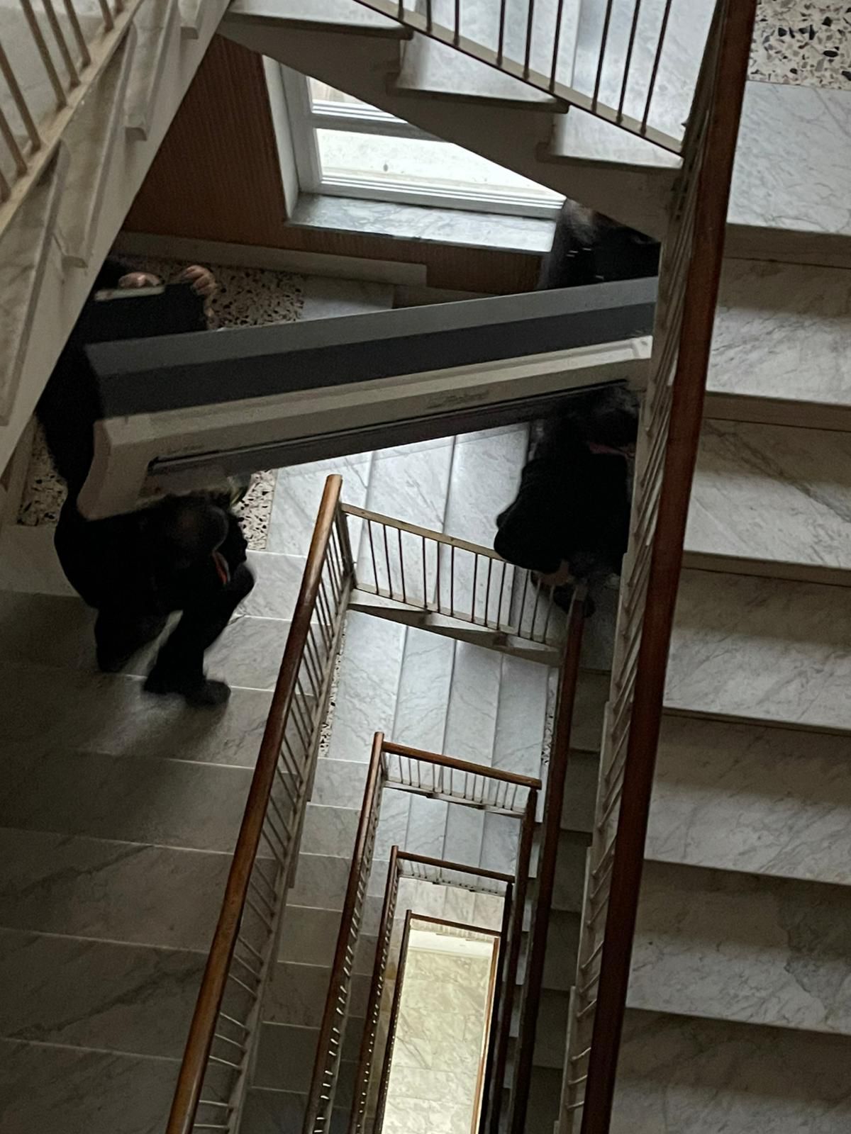 Due orsi neri che salgono una scala in un edificio con ringhiere metalliche e lucernari