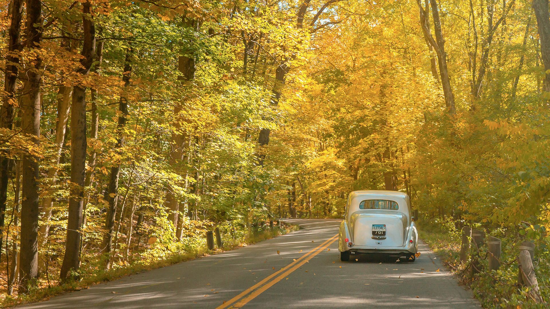 Antique car in Greenwich Backcountry