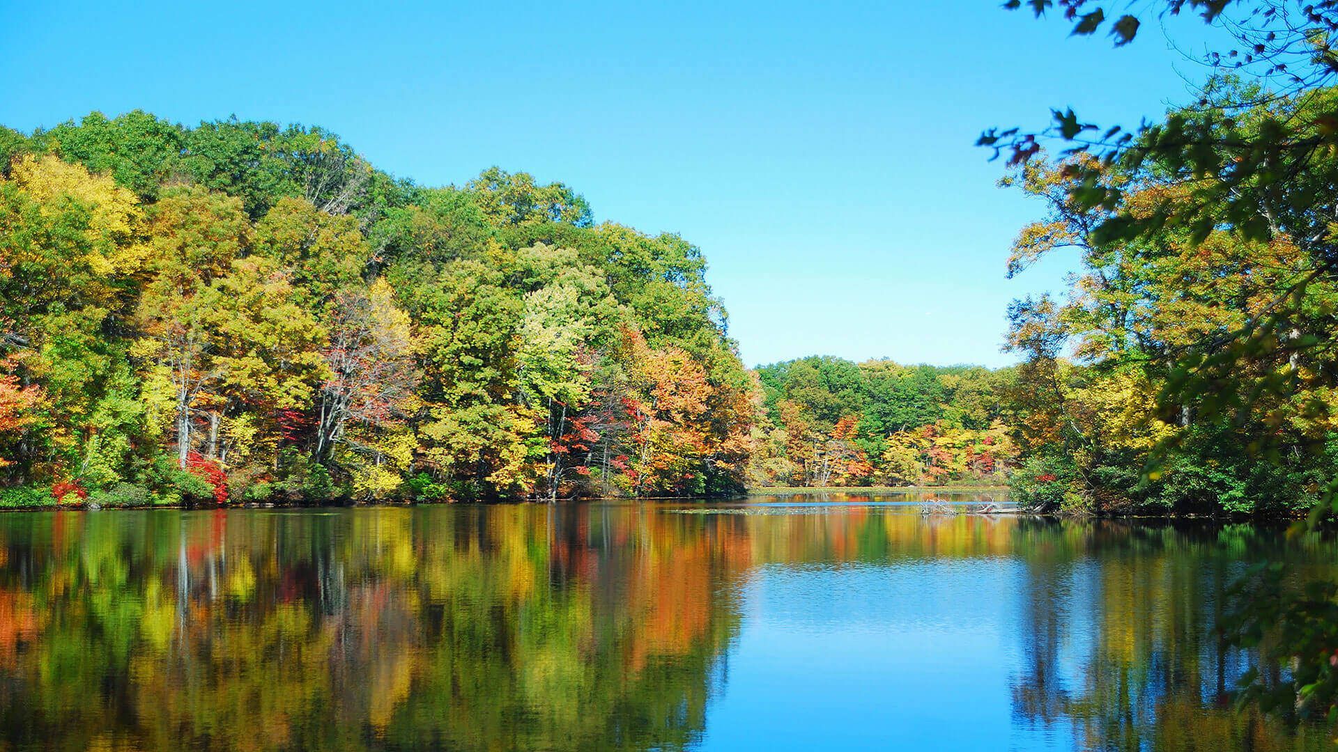 Autumn lake
