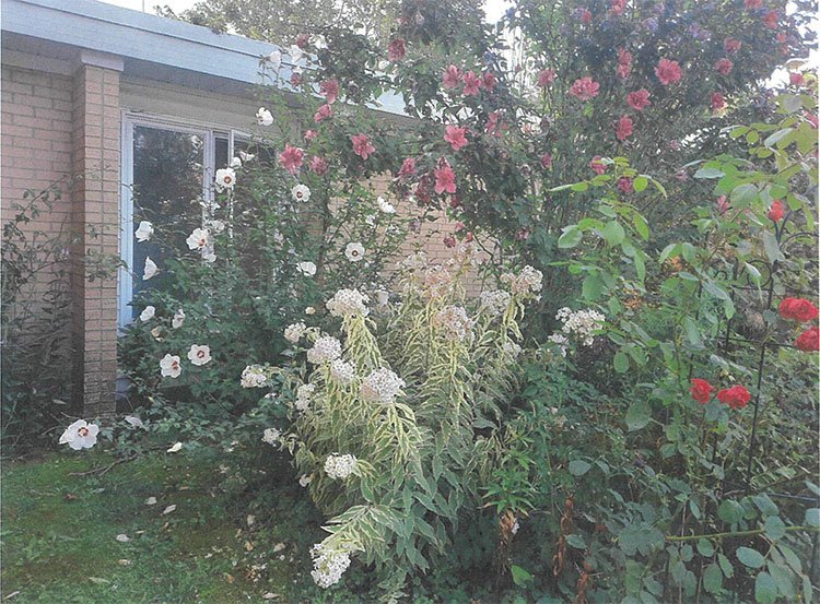 Reed City Housing Reed City, MI Gallery