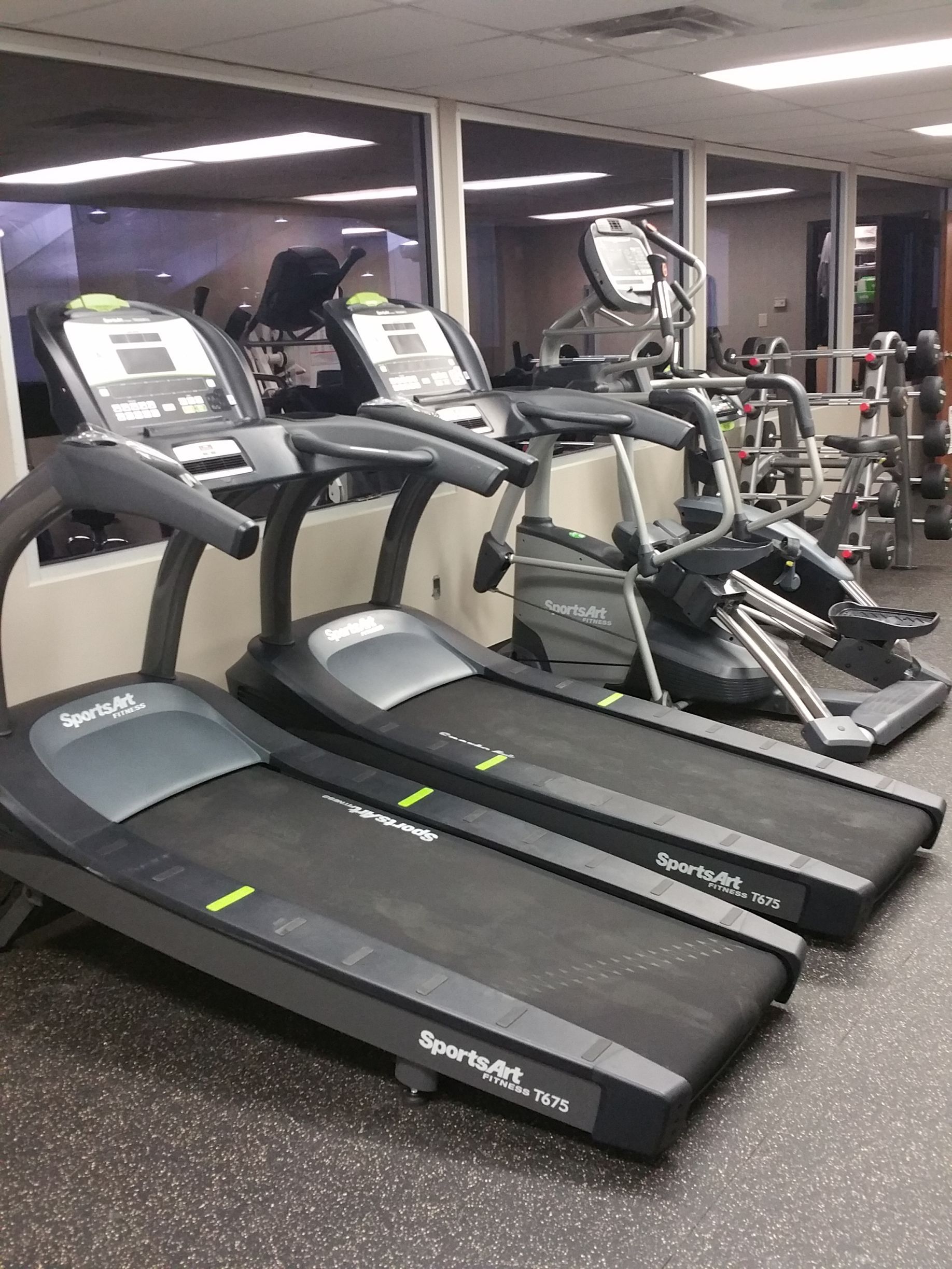 Gym with several treadmills and ellipticals lined up under bright indoor lighting.