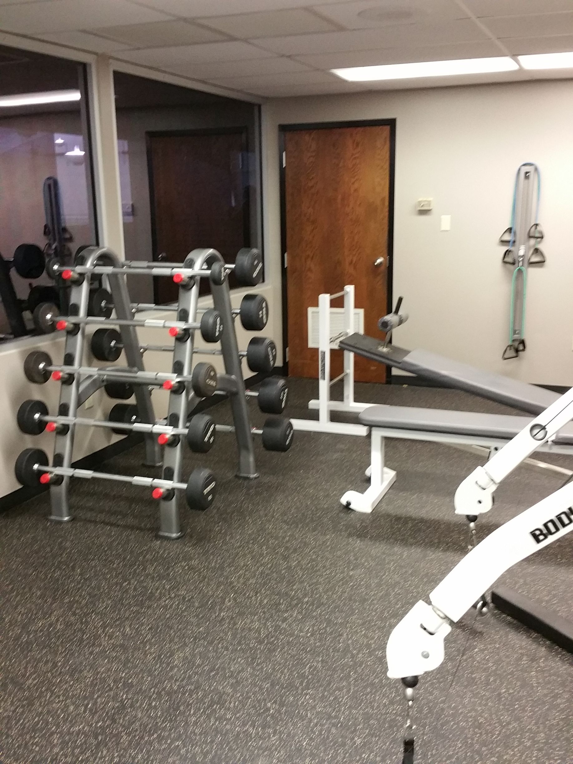 Gym room with dumbbell rack, weight benches, and white exercise machines on rubber flooring.