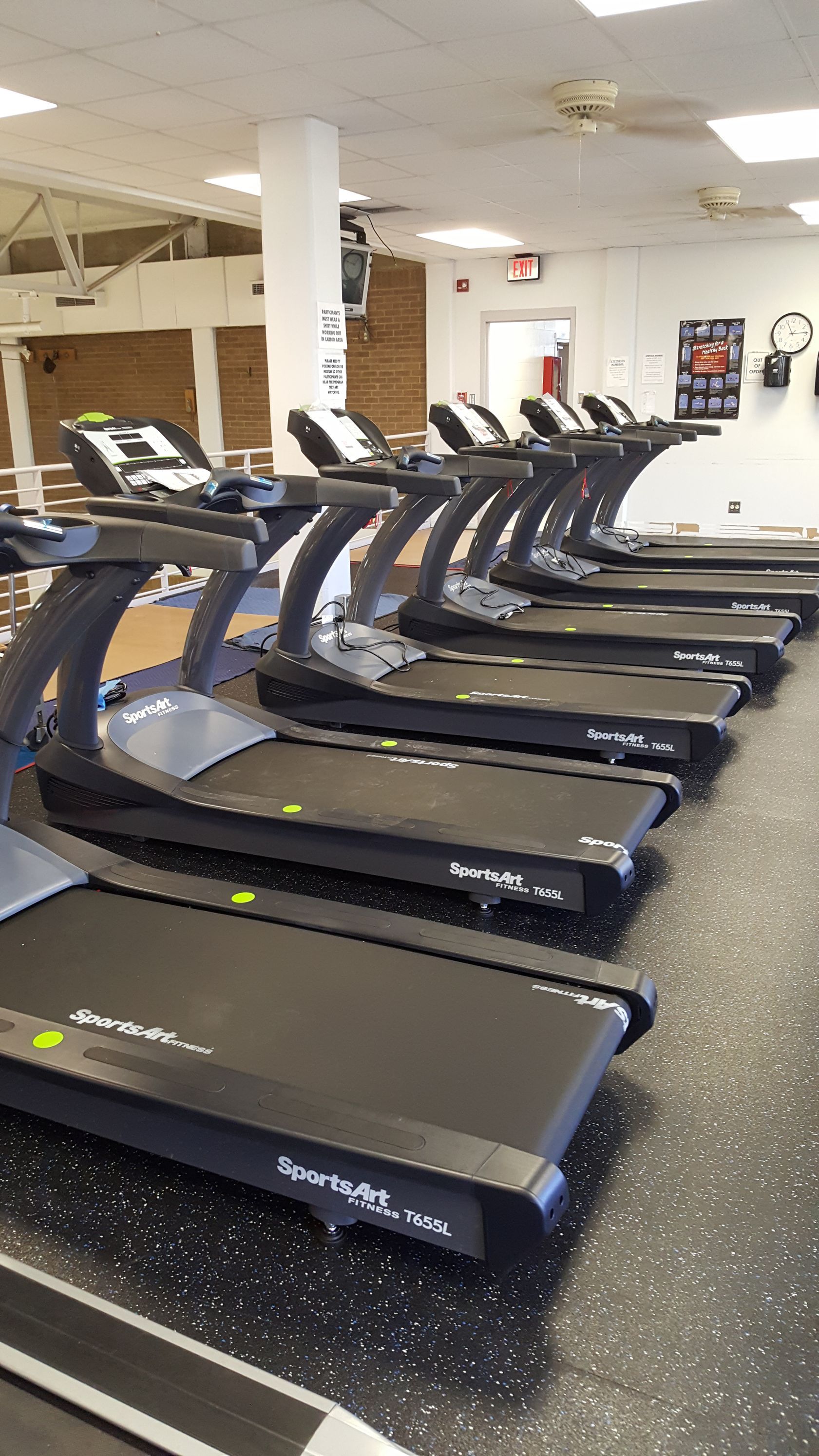 Row of black treadmills in a bright gym with white walls and a speckled floor.